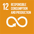 SDG 12